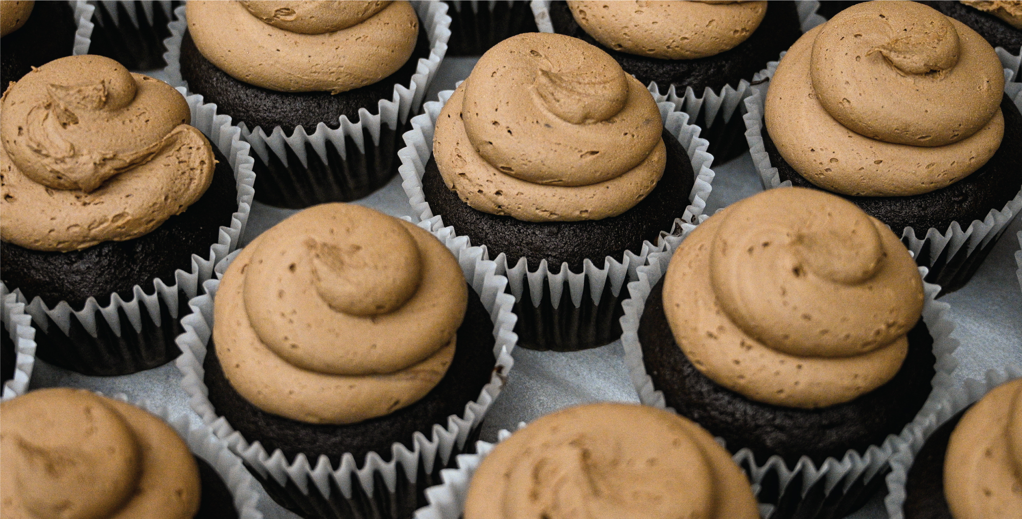 Dough Best Doughnuts, Tampa
